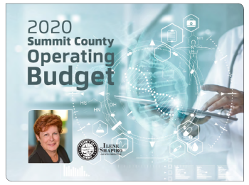 Image: 2020 budget cover