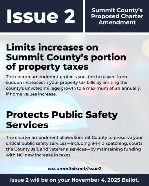 Issue 2: Proposed Charter Amendment