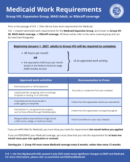 Group VIII Medicaid Work Requirements 1/1/2027